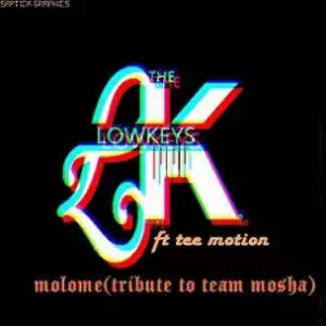 The Lowkeys - Malome (Tribute to Team Mosha) ft. Tee Motion
